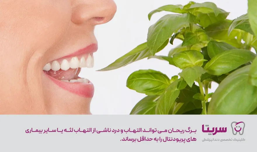 مزایای ریحان برای دهان و دندان 
