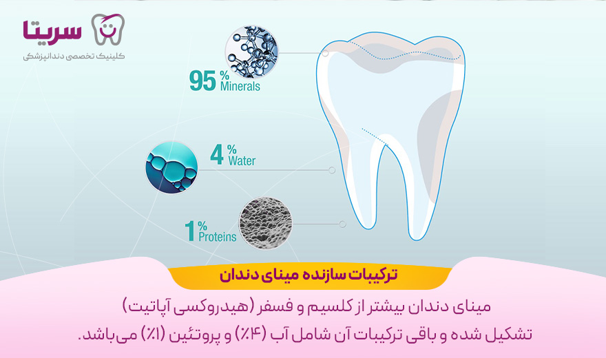 ترکیبات سازنده مینای دندان